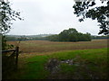 View from Halden Lane near Beston Farm in TN17 4BH