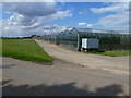 Large glasshouse complex on Stockhouse Lane, Surfleet in PE11 4EH