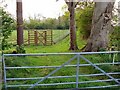 Yatesbury Copse from a bridleway, Yatesbury in SN11 8YG