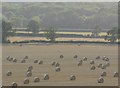 Scattered straw bales near Roundway, Wiltshire in SN10 2FQ