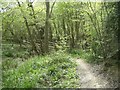 Footbridge near Nuthurst in RH13 6RF