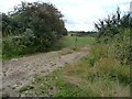 Field entrance north of Filkins Farm in Filkins and Broughton Poggs