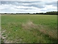 Farmland north of Filkins Farm in Filkins and Broughton Poggs