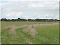 Track bending across a field, north of Filkins Farm in Filkins and Broughton Poggs