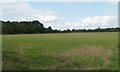 Farmland and woodland, north of Filkins Farm in Filkins and Broughton Poggs