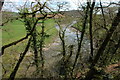The River Torridge near Landcross in EX39 5JJ