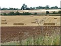 Harvest-time near Downs Farm in OX18 4JY