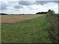 Uncultivated field margin alongside the Barringtons road in OX18 4JY
