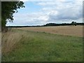 Uncultivated field margin near Downs Farm in OX18 4JY