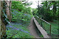 Unusual path in Shotover Country Park in OX33 1SA