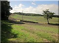 Fields near Middletown in EX6 6DT