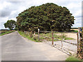 View along Muck Lane in NR13 6PR