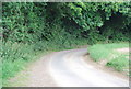 Bend in a narrow Suffolk Lane in IP9 2PT
