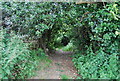 Bridleway, Hale's Grove in IP9 2PT