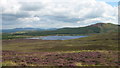 Loch Whinyeon & Bengray from Fell of Laghead in DG7 2BG
