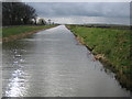 Sixteen Foot Drain looking south-west from bridge at Ancaster Farm in PE15 0DX