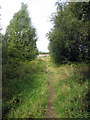 Footpath to Hepworth Road in DE11 7BH