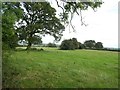 Grassland near Rodsley in DE6 3AN