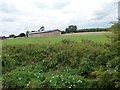 Agricultural shed, Silesbourne Farm in B95 6LA