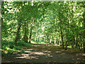 Path in Bayhurst Wood in UB9 6NA