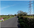 Pylon and a roadworks sign SE of Kenn in BS21 6TZ
