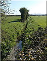 East along Mawkins Rhyne near Kenn in BS21 6TZ