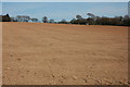 Ploughed field at Cleverdon in EX22 7TY