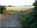 Looking south on field from Ford Lane in RG29 1TW