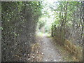 Path off Smug Oak Lane, Colney Street in AL2 3UB