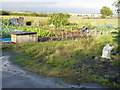 Allotments in Warboys, Cambridgeshire in PE28 2TQ