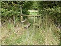 Stile with 'dog hole' in NE61 3LA