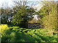 Gate and stile across the bend in the lane in TS21 3HE