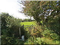 Llwybr Y Mot / New Moat Path in SA63 4RU