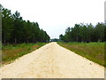 Looking northwards on unnamed track towards The Welsh Drive in RG27 0QB