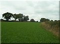 Footpath and Field near Cubley lane in DE6 2FL