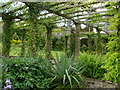 The Pergola West Dean Gardens in PO18 0RB