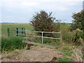 Footbridge and kissing gate near Canewdon in SS4 3PF
