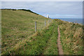 Coastal path below Ling Hill in YO22 4JZ