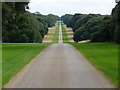 The Avenue south of Holkham Hall in NR23 1RT