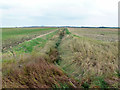 Drainage ditch near South Fambridge Hall in SS4 3LT