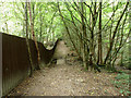 Boundary path, Hockley Woods in Hockley Ward