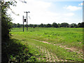 Electricity transformer in pasture south of Tuttington Road in NR11 6SZ