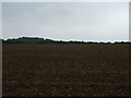Farmland south of Hawthorn Road in Greetwell