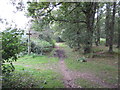 Path junction on byway to Limpsfield Road in CR6 9QE
