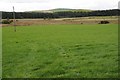 Upland grazing near Wenlli in LL26 0NR