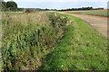 Stream by the bridleway to Chicksands in Chicksands
