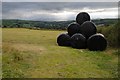 Silage bales opposite Buarth Cerrig in Llangernyw Community