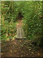 Footbridge, Bolney Wood in RH17 5PG