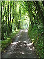 Shaded path at Laugharne in SA33 4NS