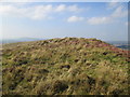 Mynydd Allt-y-grug, North Top in SA9 2BE